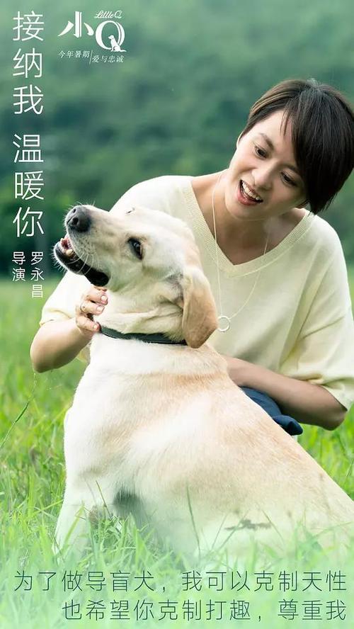 定制卡马逊郡学院文凭毕业证